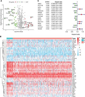 Transcriptome Profiles Reveal a 12-Signature Metabolic Prediction Model and a Novel Role of Myo-Inositol Oxygenase in the Progression of Prostate Cancer